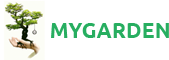 Главная